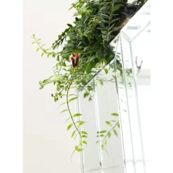 KARE Design Bars-Barschrank Luxury