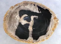 KARE Design Tische-Beistelltisch Alpha Versteinertes Holz