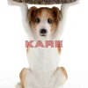 KARE Design Tische-Beistelltisch Animal Mr Jack O33Cm