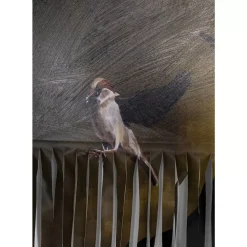 KARE Design Bilder-Bild Frame Gentleman Cuts 130X163Cm