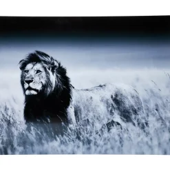 KARE Design Bilder-Bild Glas Lion King Standing 160X120Cm