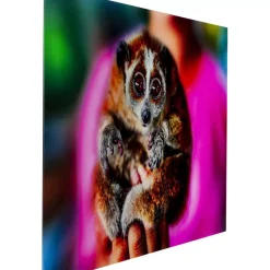 KARE Design Bilder-Bild Glas Slow Loris 80X120
