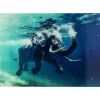 KARE Design Bilder-Bild Glas Swimming Elephant 180X120Cm