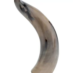 KARE Design Deko & Geschenkartikel-Deko Objekt Natural Horn