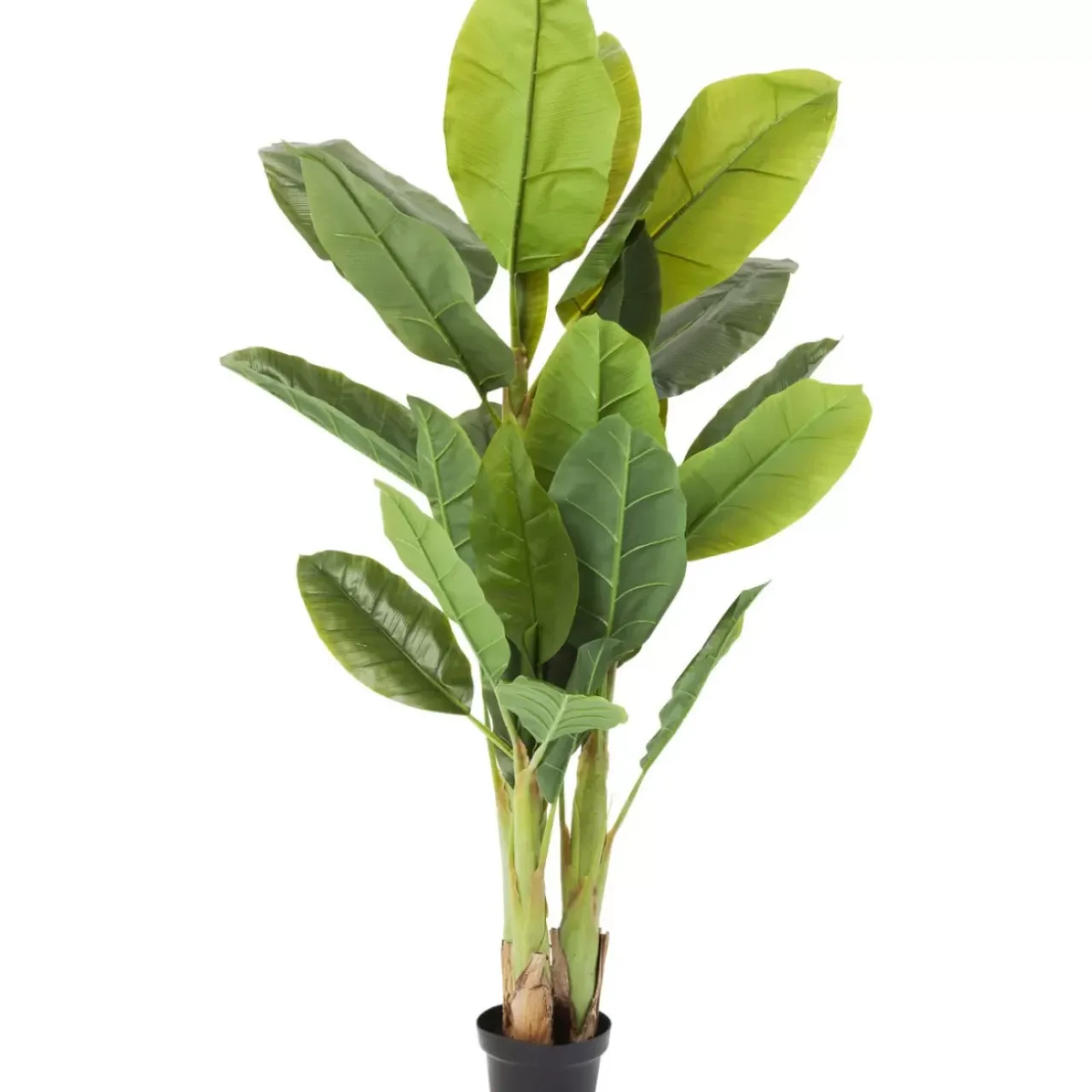KARE Design Deko & Geschenkartikel-Deko Pflanze Banana Tree 180Cm