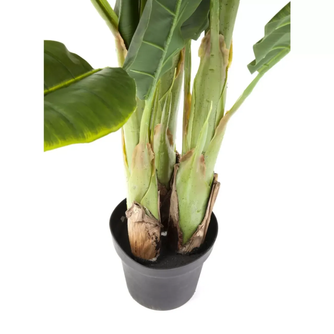 KARE Design Deko & Geschenkartikel-Deko Pflanze Banana Tree 180Cm