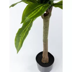 KARE Design Deko & Geschenkartikel-Deko Pflanze Dracaena Fragrans 180Cm