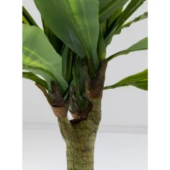 KARE Design Deko & Geschenkartikel-Deko Pflanze Dracaena Fragrans 180Cm