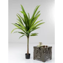 KARE Design Deko & Geschenkartikel-Deko Pflanze Dracaena Fragrans 180Cm