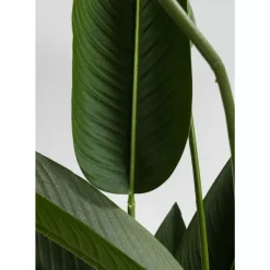 KARE Design Deko & Geschenkartikel-Deko Pflanze Paradise Flowers 190