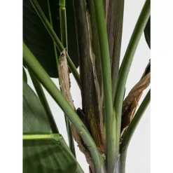 KARE Design Deko & Geschenkartikel-Deko Pflanze Paradise Flowers 190