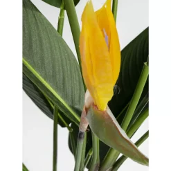 KARE Design Deko & Geschenkartikel-Deko Pflanze Paradise Flowers 190