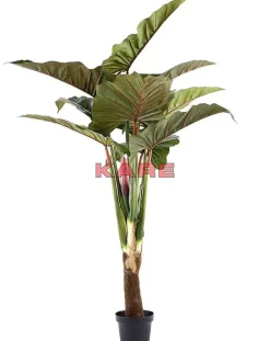 KARE Design Deko & Geschenkartikel-Deko Pflanze Rainforest Green 160Cm