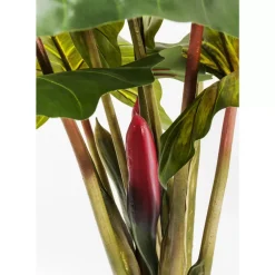 KARE Design Deko & Geschenkartikel-Deko Pflanze Rainforest Green 160Cm