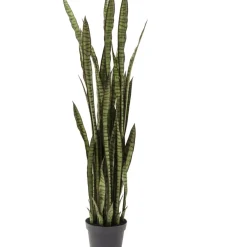 KARE Design Deko & Geschenkartikel-Deko Pflanze Sansewieria 155Cm