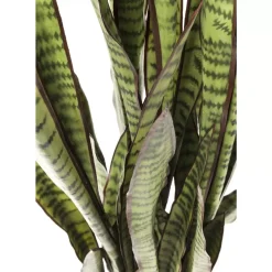 KARE Design Deko & Geschenkartikel-Deko Pflanze Sansewieria 155Cm