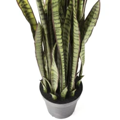 KARE Design Deko & Geschenkartikel-Deko Pflanze Sansewieria 155Cm