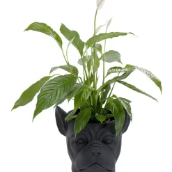 KARE Design Aufbewahrung & Ordnung-Deko Ubertopf Bulldog Schwarz
