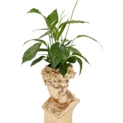 KARE Design Aufbewahrung & Ordnung-Deko Ubertopf David Gold