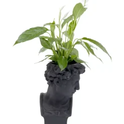 KARE Design Aufbewahrung & Ordnung-Deko Ubertopf David Schwarz