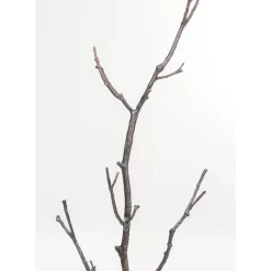 KARE Design Kleinmöbel & Sonstiges-Garderobenstander Tree Branch 183Cm