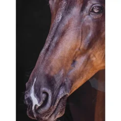 KARE Design Bilder-Gerahmtes Bild Wendy 75X105Cm