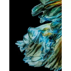 KARE Design Bilder-Glasbild Aqua Queen Fish 100X100Cm