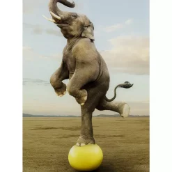 KARE Design Bilder-Glasbild Balance Elephant 150X100Cm