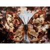 KARE Design Bilder-Glasbild Butterfly 150X100Cm