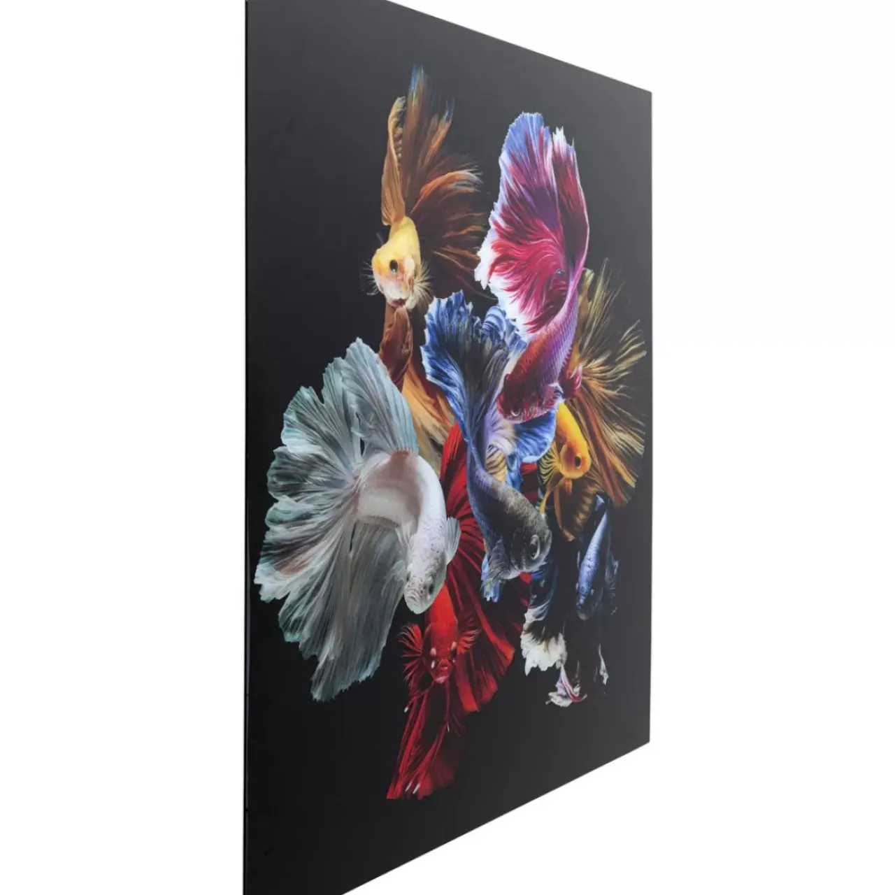 KARE Design Bilder-Glasbild Colorful Swarm Fish 120X120Cm