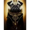 KARE Design Bilder-Glasbild Prince Pug 40X60Cm
