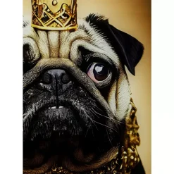 KARE Design Bilder-Glasbild Prince Pug 40X60Cm