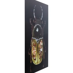 KARE Design Bilder-Glasbild Shiney Dung Beetle 80X120Cm