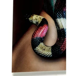 KARE Design Bilder-Glasbild Snake Girl 80X120Cm