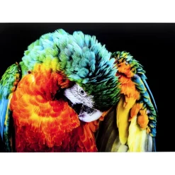 KARE Design Bilder-Glasbild Tropical Parrot 120X80Cm