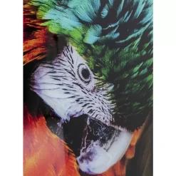 KARE Design Bilder-Glasbild Tropical Parrot 120X80Cm