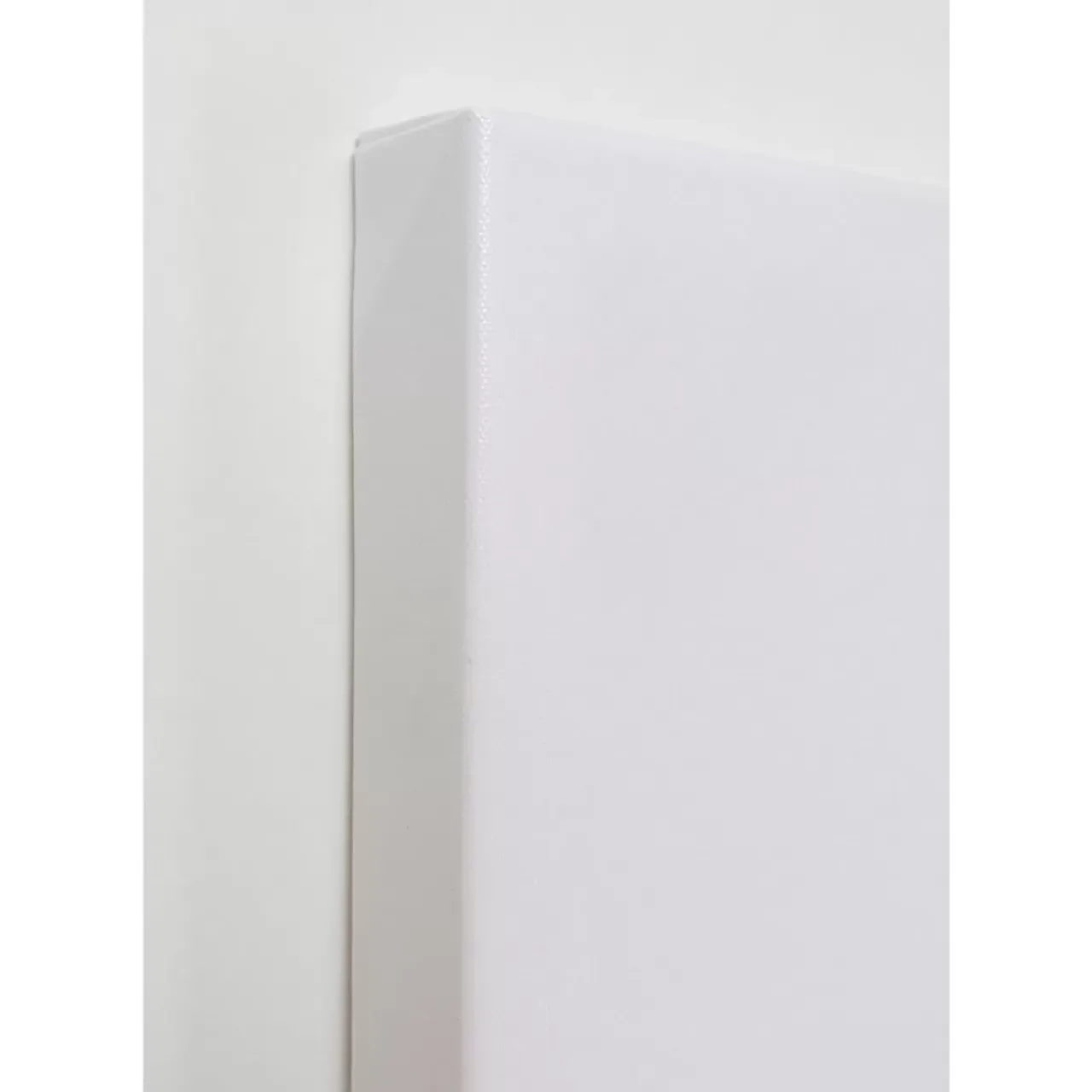 KARE Design Bilder-Leinwandbild Headdress Dog 80X80Cm