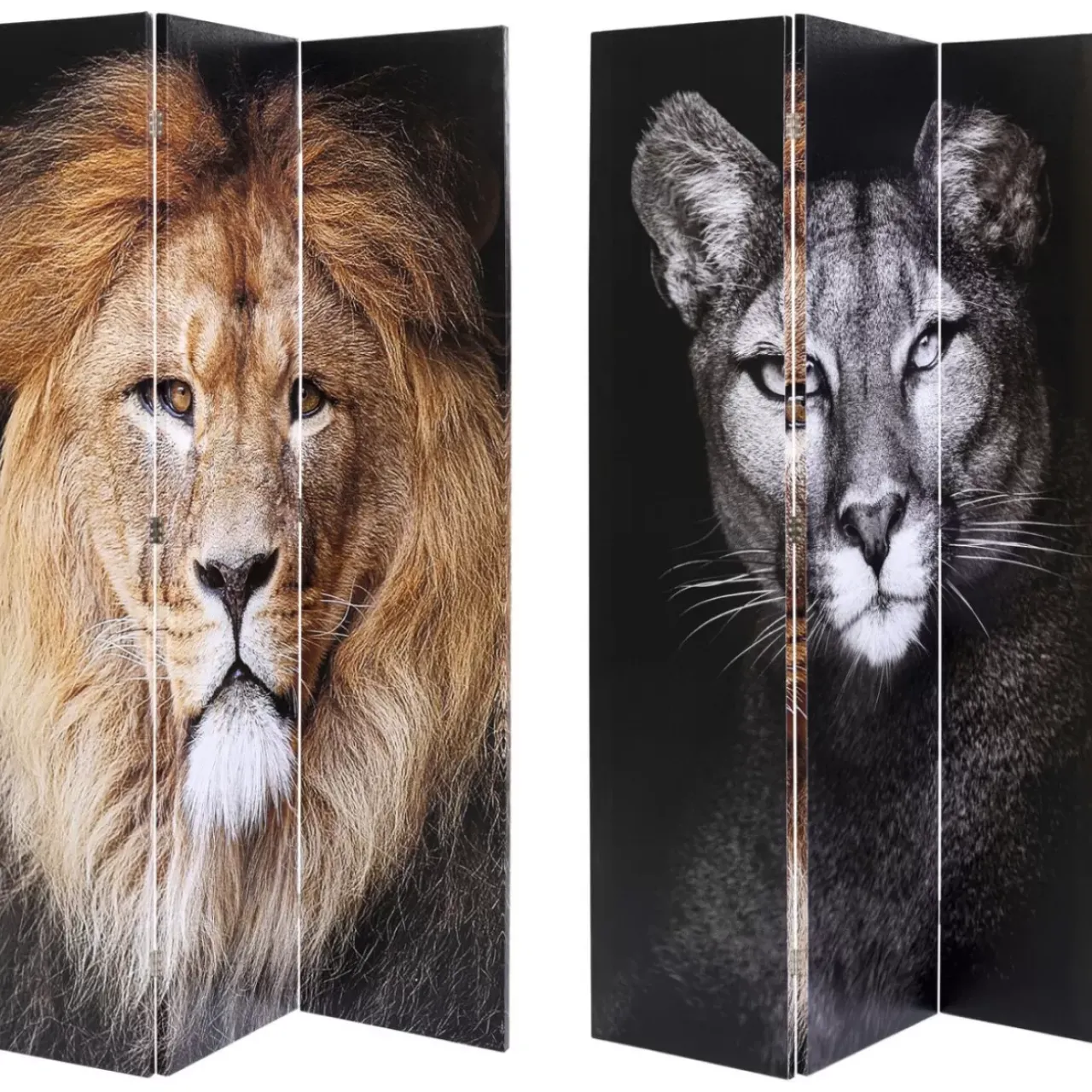 KARE Design Paravents-Paravent King Lion Vs Cat Girl 120X180Cm