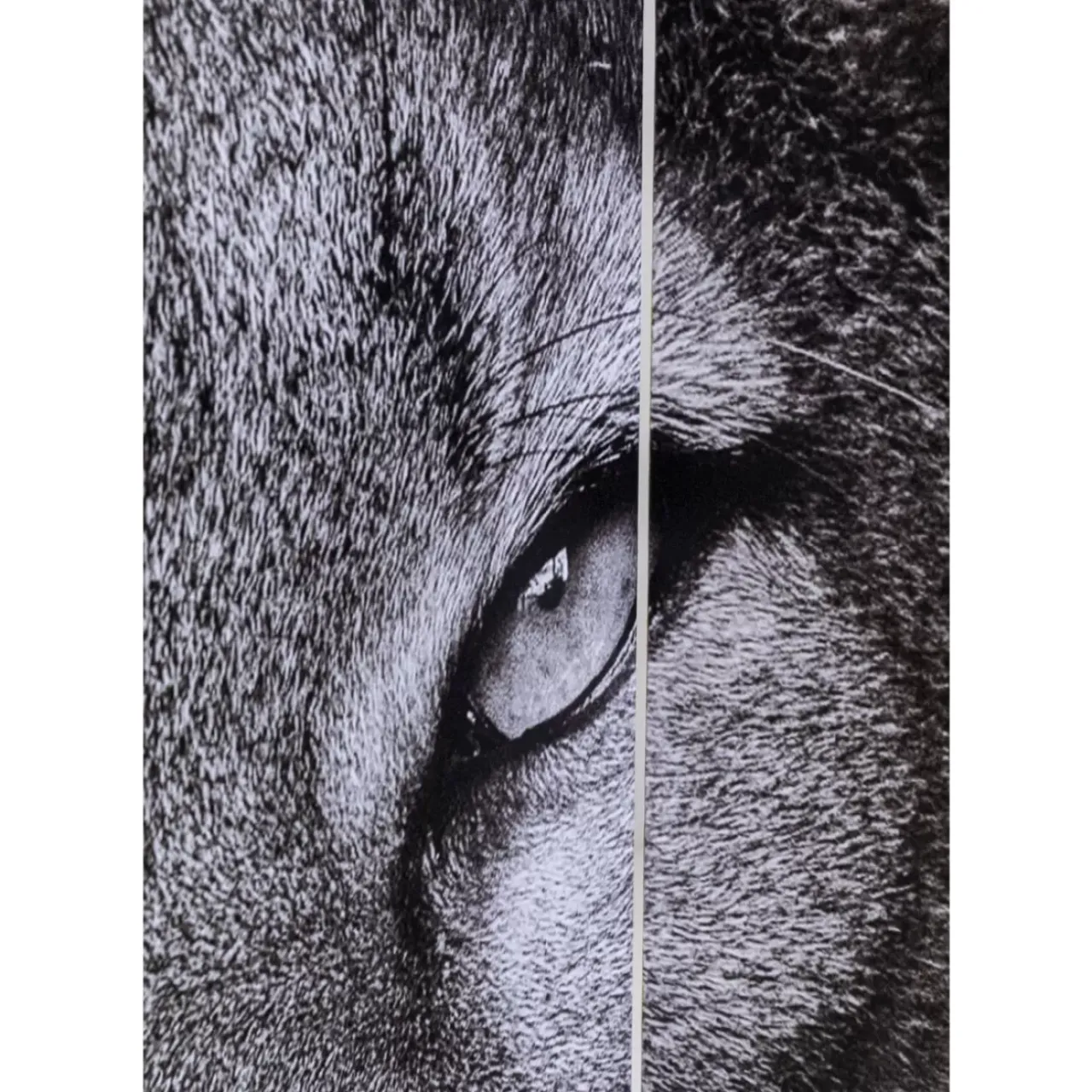 KARE Design Paravents-Paravent King Lion Vs Cat Girl 120X180Cm