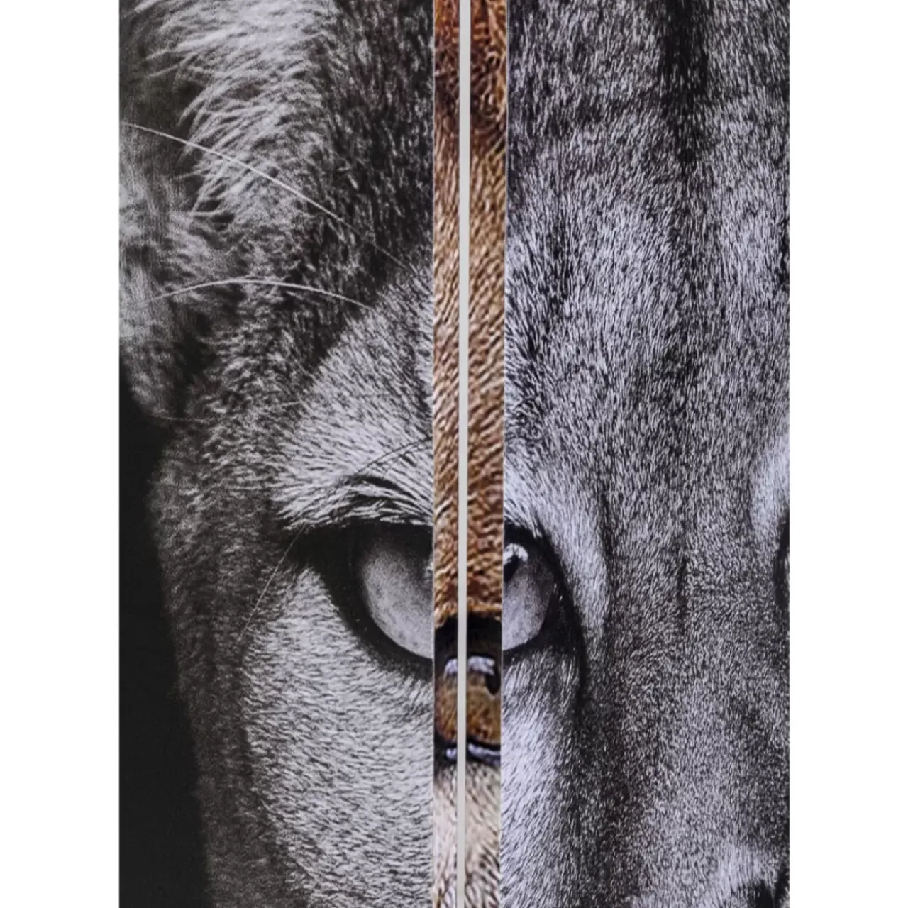 KARE Design Paravents-Paravent King Lion Vs Cat Girl 120X180Cm