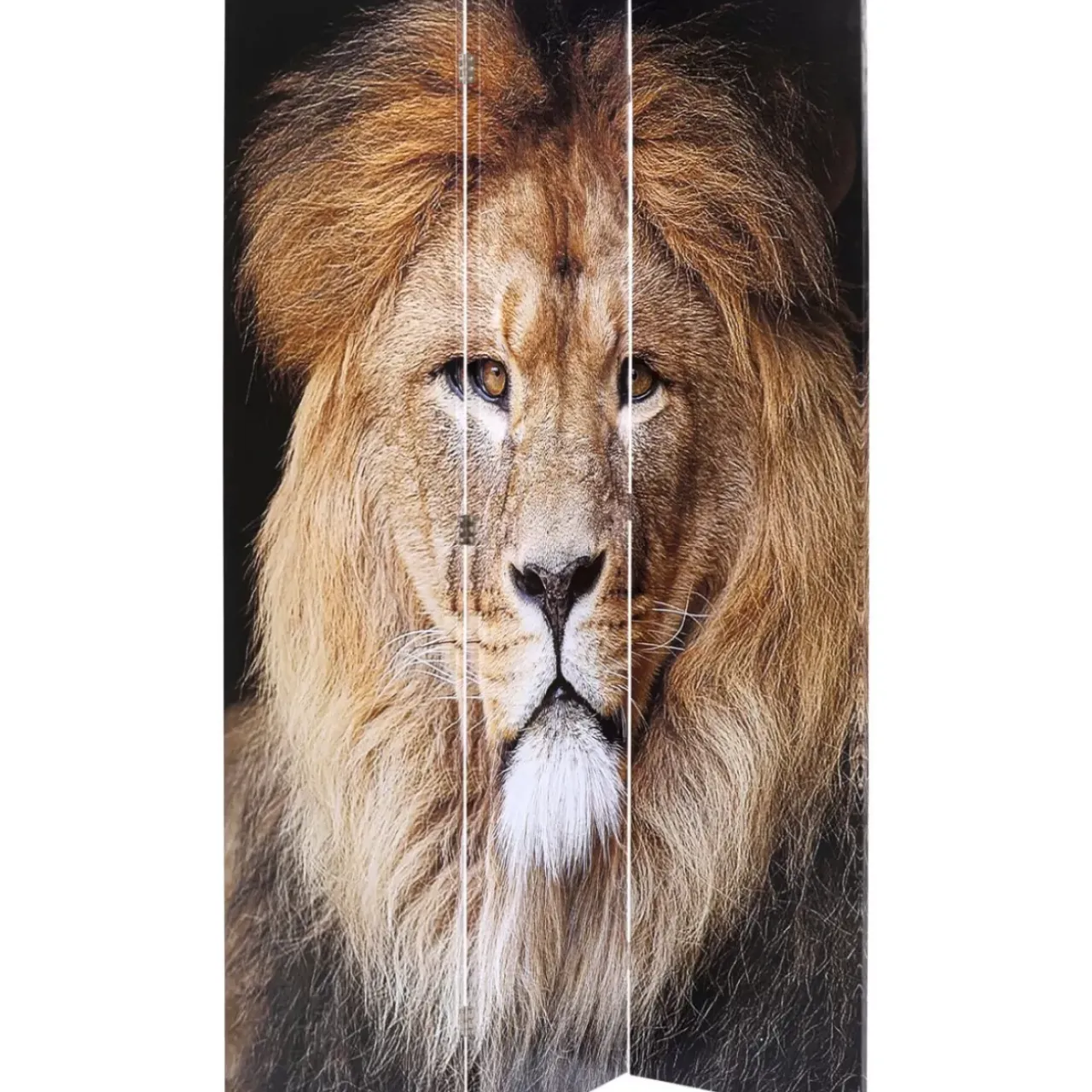 KARE Design Paravents-Paravent King Lion Vs Cat Girl 120X180Cm