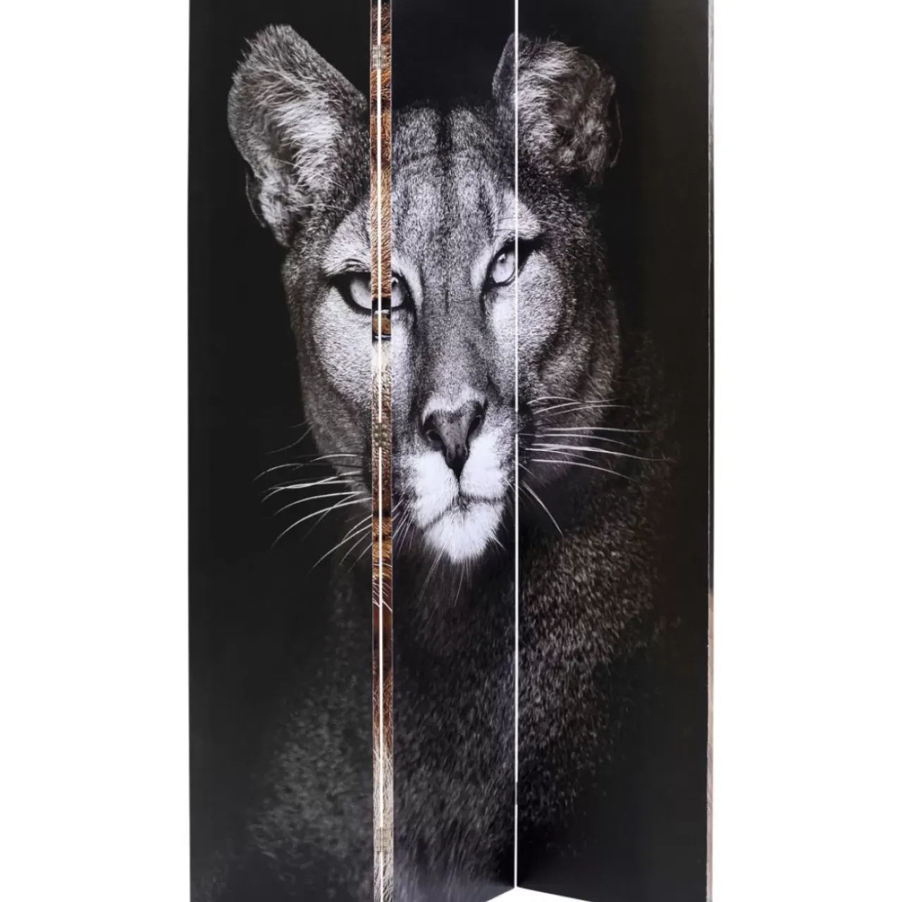 KARE Design Paravents-Paravent King Lion Vs Cat Girl 120X180Cm
