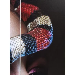 KARE Design Paravents-Paravent Royal Headdress Vs Snake Girl 120X180Cm