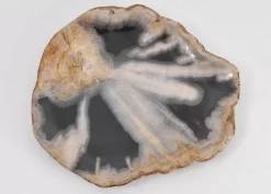 KARE Design Geschirr & Tischaccessoires-Platte Toverland Versteinertes Holz