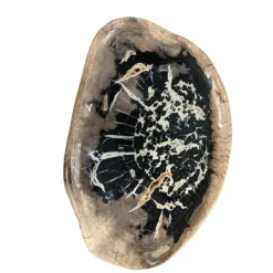 KARE Design Geschirr & Tischaccessoires-Platte Windmolen Versteinertes Holz