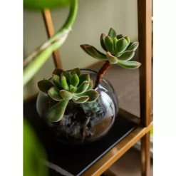 KARE Design Regale-Regal Cesaro 90X170Cm