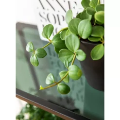 KARE Design Regale-Regal Loft Schwarz 195X115