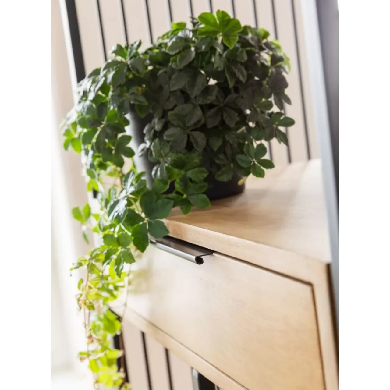 KARE Design Regale-Regal Modena