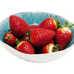 KARE Design Geschirr & Tischaccessoires-Schale Mustique O17