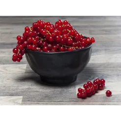 KARE Design Geschirr & Tischaccessoires-Schale Organic Black O15Cm